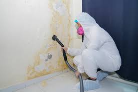 Best HVAC Mold Inspection and Cleaning  in Curtice, OH